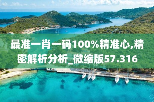 最准一肖一码100%精准心,精密解析分析_微缩版57.316