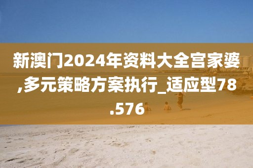 新澳门2024年资料大全宫家婆,多元策略方案执行_适应型78.576