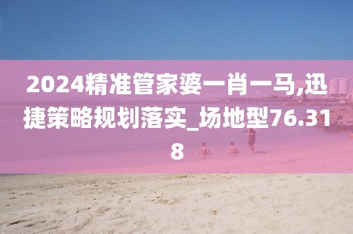2024精准管家婆一肖一马,迅捷策略规划落实_场地型76.318