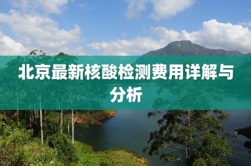 北京最新核酸检测费用详解与分析
