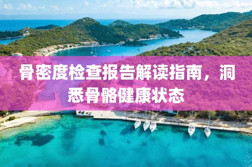 骨密度检查报告解读指南，洞悉骨骼健康状态