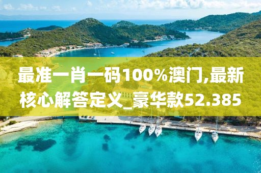最准一肖一码100%澳门,最新核心解答定义_豪华款52.385