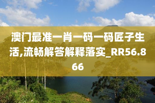 澳门最准一肖一码一码匠子生活,流畅解答解释落实_RR56.866