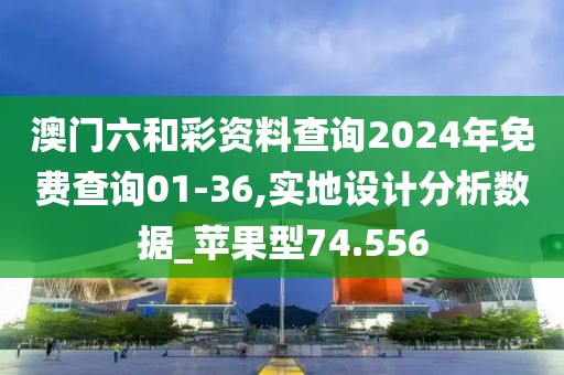 澳门六和彩资料查询2024年免费查询01-36,实地设计分析数据_苹果型74.556