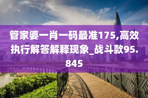 管家婆一肖一码最准175,高效执行解答解释现象_战斗款95.845