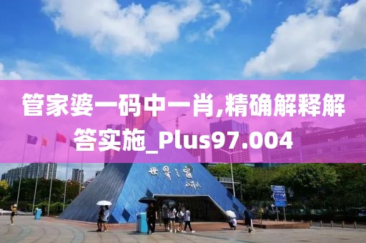 管家婆一码中一肖,精确解释解答实施_Plus97.004