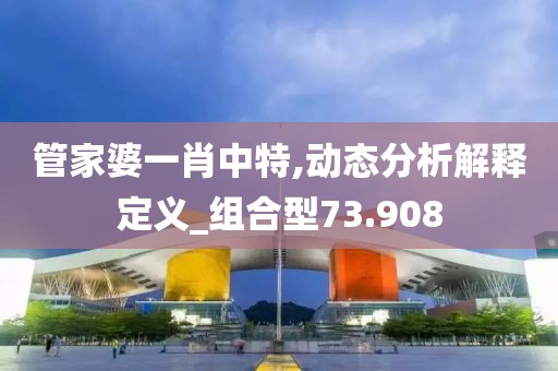 管家婆一肖中特,动态分析解释定义_组合型73.908