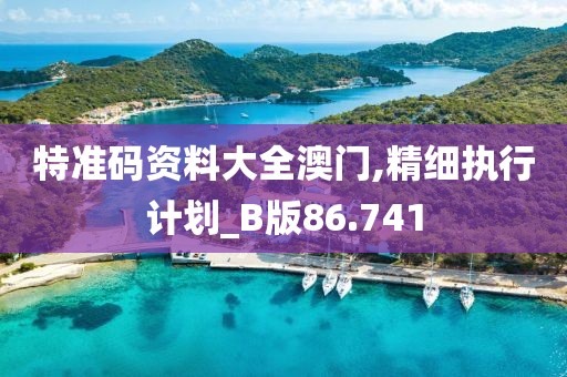 特准码资料大全澳门,精细执行计划_B版86.741