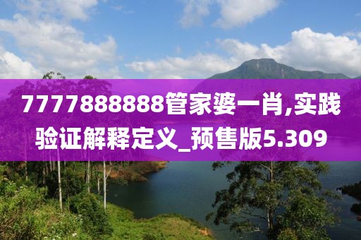7777888888管家婆一肖,实践验证解释定义_预售版5.309