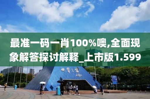 最准一码一肖100%噢,全面现象解答探讨解释_上市版1.599