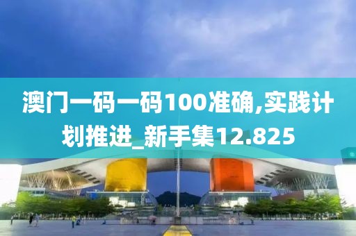 澳门一码一码100准确,实践计划推进_新手集12.825