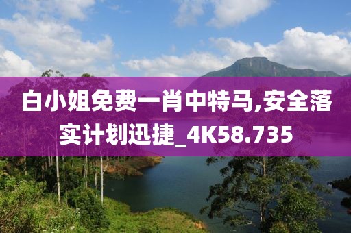 白小姐免费一肖中特马,安全落实计划迅捷_4K58.735