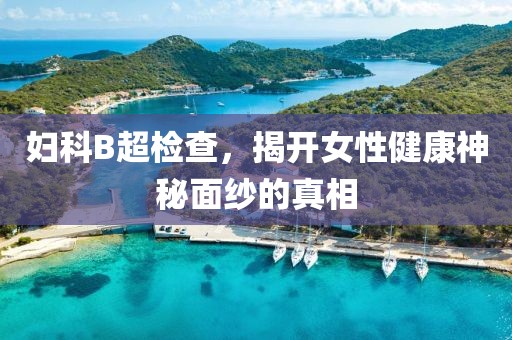 妇科B超检查，揭开女性健康神秘面纱的真相