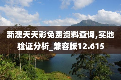 新澳天天彩免费资料查询,实地验证分析_兼容版12.615