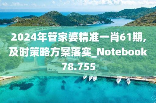 2024年管家婆精准一肖61期,及时策略方案落实_Notebook78.755