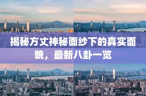 揭秘方丈神秘面纱下的真实面貌，最新八卦一览