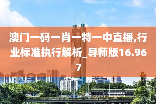 澳门一码一肖一特一中直播,行业标准执行解析_导师版16.967