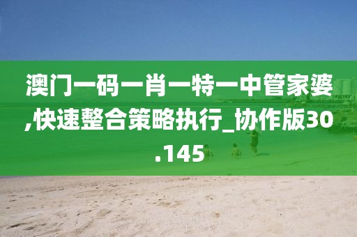 澳门一码一肖一特一中管家婆,快速整合策略执行_协作版30.145