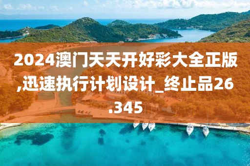2024澳门天天开好彩大全正版,迅速执行计划设计_终止品26.345