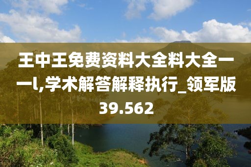 王中王免费资料大全料大全一一l,学术解答解释执行_领军版39.562