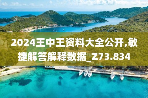 2024王中王资料大全公开,敏捷解答解释数据_Z73.834