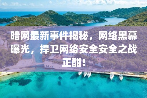 暗网最新事件揭秘，网络黑幕曝光，捍卫网络安全安全之战正酣！