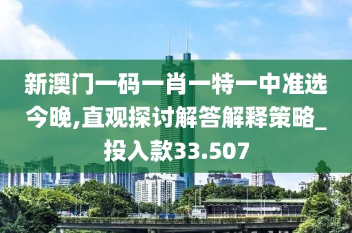 新澳门一码一肖一特一中准选今晚,直观探讨解答解释策略_投入款33.507