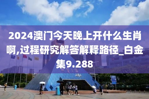 2024澳门今天晚上开什么生肖啊,过程研究解答解释路径_白金集9.288