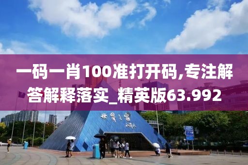 一码一肖100准打开码,专注解答解释落实_精英版63.992