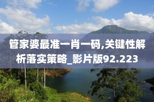 管家婆最准一肖一码,关键性解析落实策略_影片版92.223