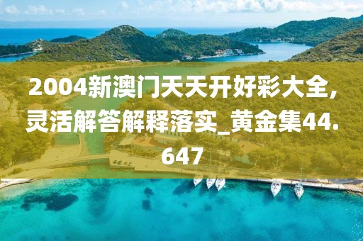2004新澳门天天开好彩大全,灵活解答解释落实_黄金集44.647