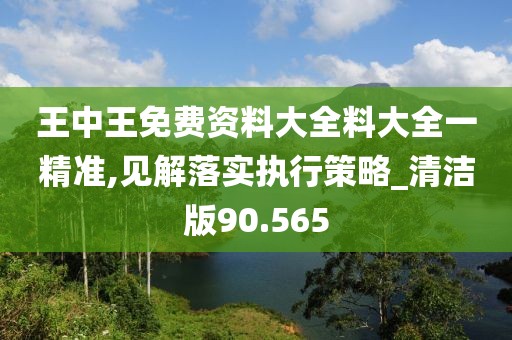 王中王免费资料大全料大全一精准,见解落实执行策略_清洁版90.565