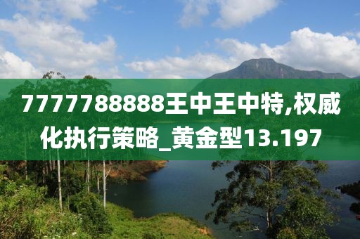7777788888王中王中特,权威化执行策略_黄金型13.197