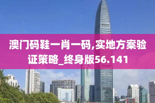 澳门码鞋一肖一码,实地方案验证策略_终身版56.141