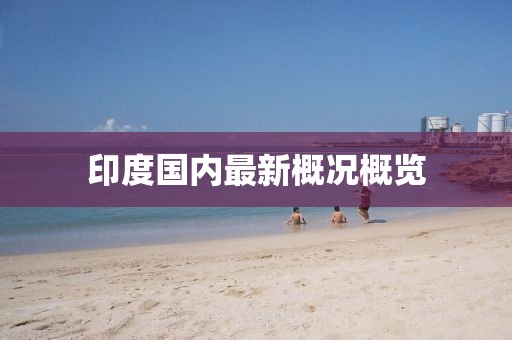 印度国内最新概况概览
