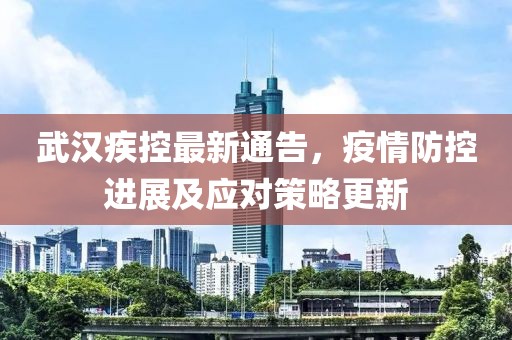 武汉疾控最新通告，疫情防控进展及应对策略更新