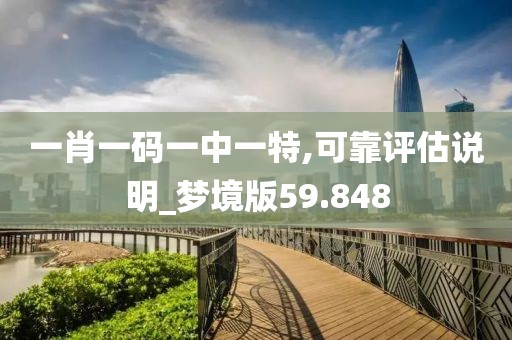 一肖一码一中一特,可靠评估说明_梦境版59.848