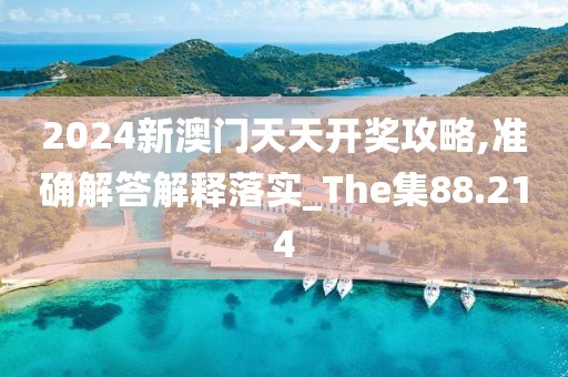 2024新澳门天天开奖攻略,准确解答解释落实_The集88.214