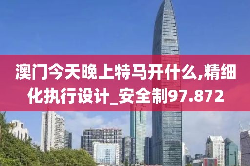 澳门今天晚上特马开什么,精细化执行设计_安全制97.872