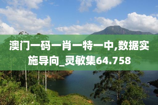 澳门一码一肖一特一中,数据实施导向_灵敏集64.758