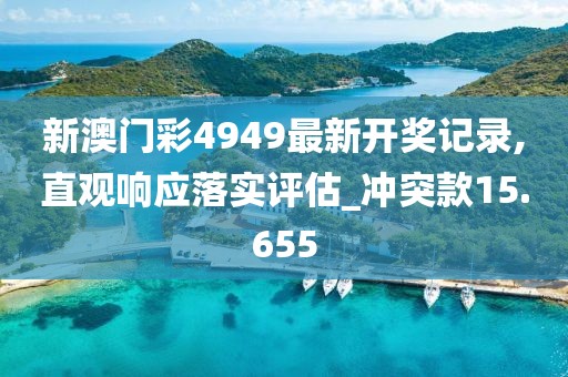 新澳门彩4949最新开奖记录,直观响应落实评估_冲突款15.655