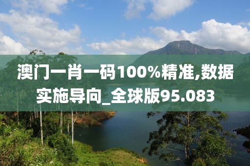 澳门一肖一码100%精准,数据实施导向_全球版95.083