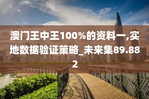 澳门王中王100%的资料一,实地数据验证策略_未来集89.882