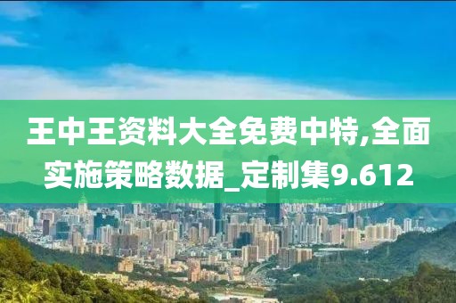 王中王资料大全免费中特,全面实施策略数据_定制集9.612