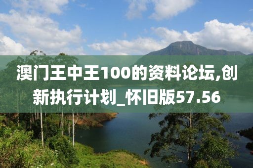 澳门王中王100的资料论坛,创新执行计划_怀旧版57.56