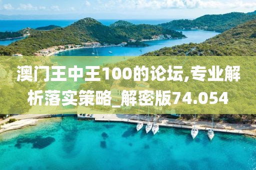 澳门王中王100的论坛,专业解析落实策略_解密版74.054