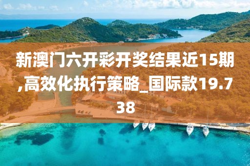 新澳门六开彩开奖结果近15期,高效化执行策略_国际款19.738