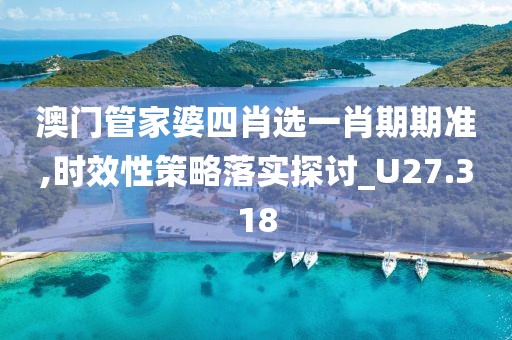 澳门管家婆四肖选一肖期期准,时效性策略落实探讨_U27.318