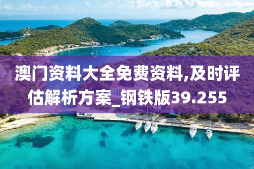澳门资料大全免费资料,及时评估解析方案_钢铁版39.255