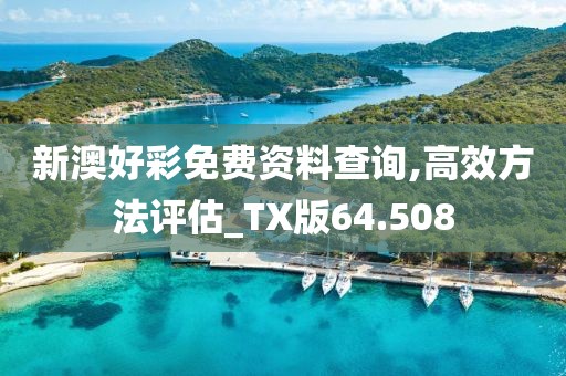 新澳好彩免费资料查询,高效方法评估_TX版64.508